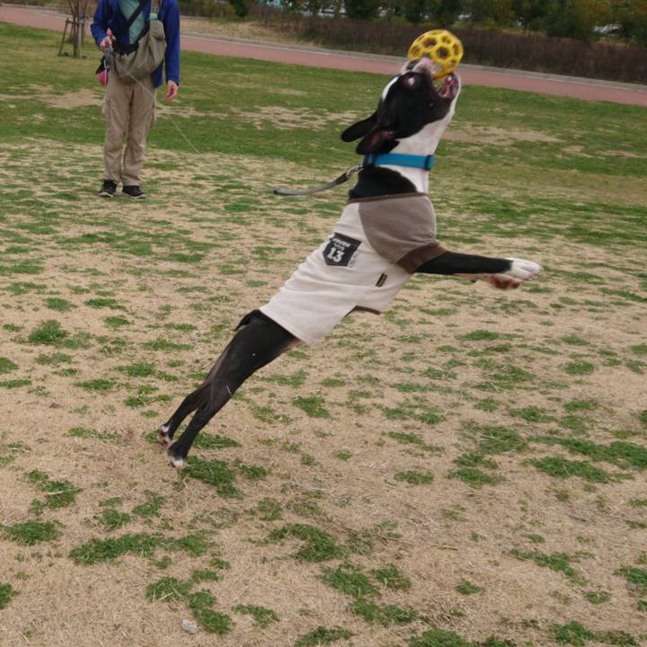 2ed8297b eb91 433e 9591 5d75e6f0889a 1552204367202