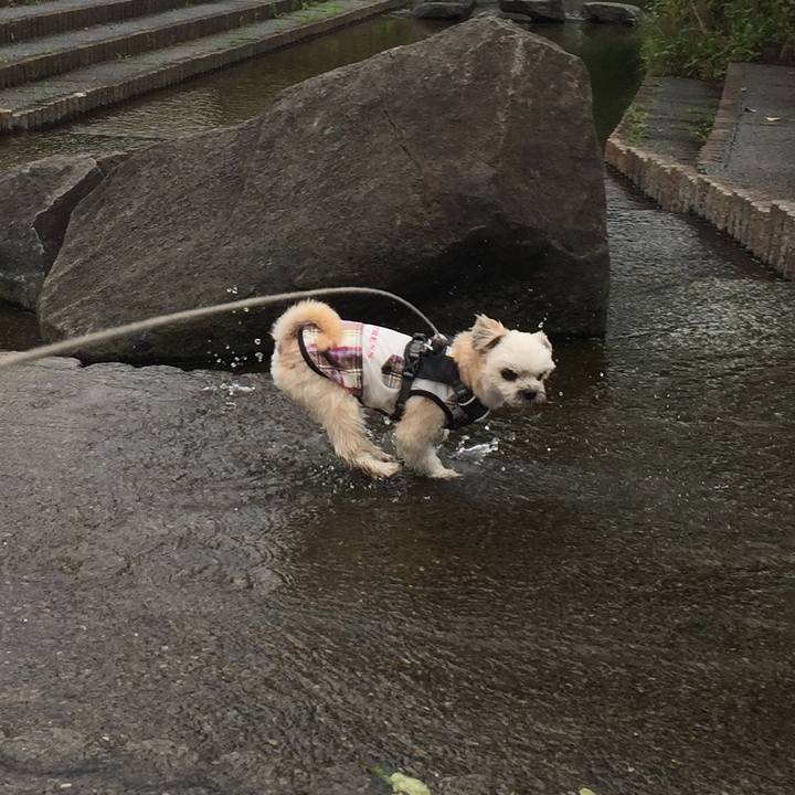 2ed82f54 b10c 4583 92ec 5040403b0ddc 1563608149925