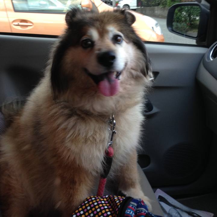 2ed862df 1bbd 4fb4 b1fc 68037c4fe4a8 1588998315537