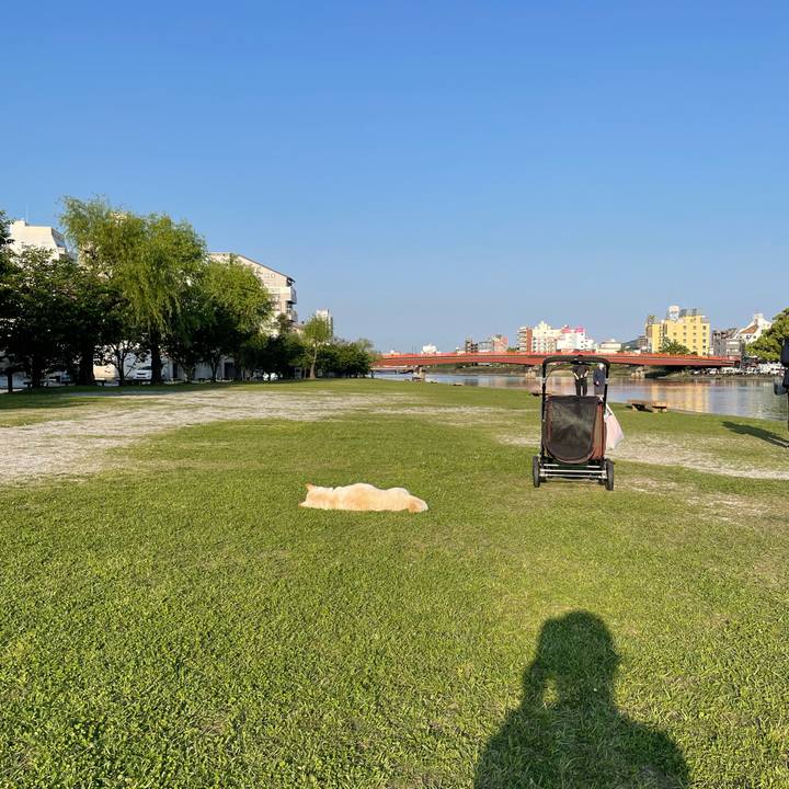 2ed87cad ee5c 44fa 9418 bcb7482cc277 1651575805749