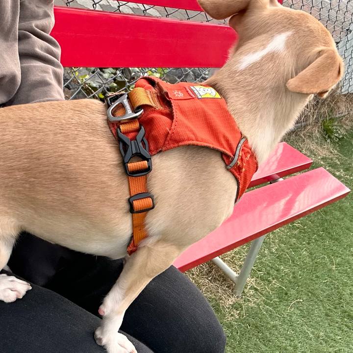 2ed87d0f 7fe1 444c af38 c706c0aa730a 1744006773911