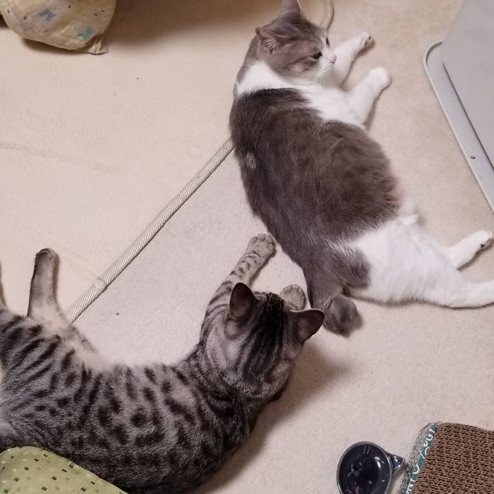 2ed975d3 c4ec 4b54 9828 00ccad96363f 1676641451892