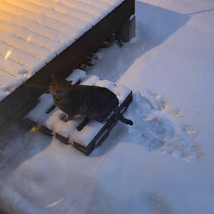 2ed9b0ee 2bb1 460e ae91 855184817596 1737153040163