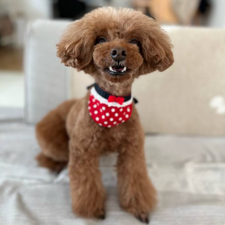 2ed9b85a 1fc5 4cd2 9f21 bcd8af909785 1686567185478