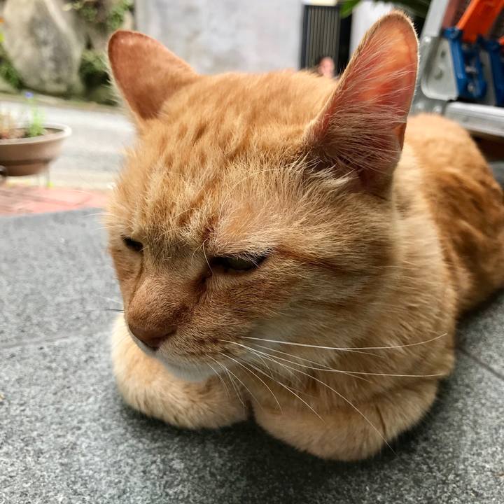 2ed9b928 4116 4c23 914f 8729ee783312 1531288130961