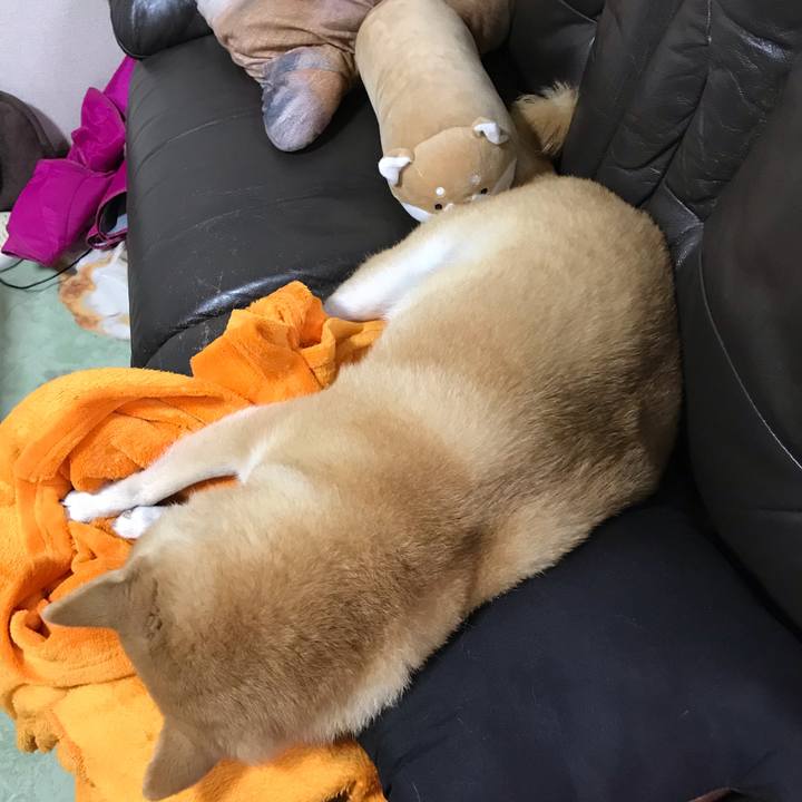 2ed9c385 317b 4080 95b8 d80bc97cdac5 1544530897266