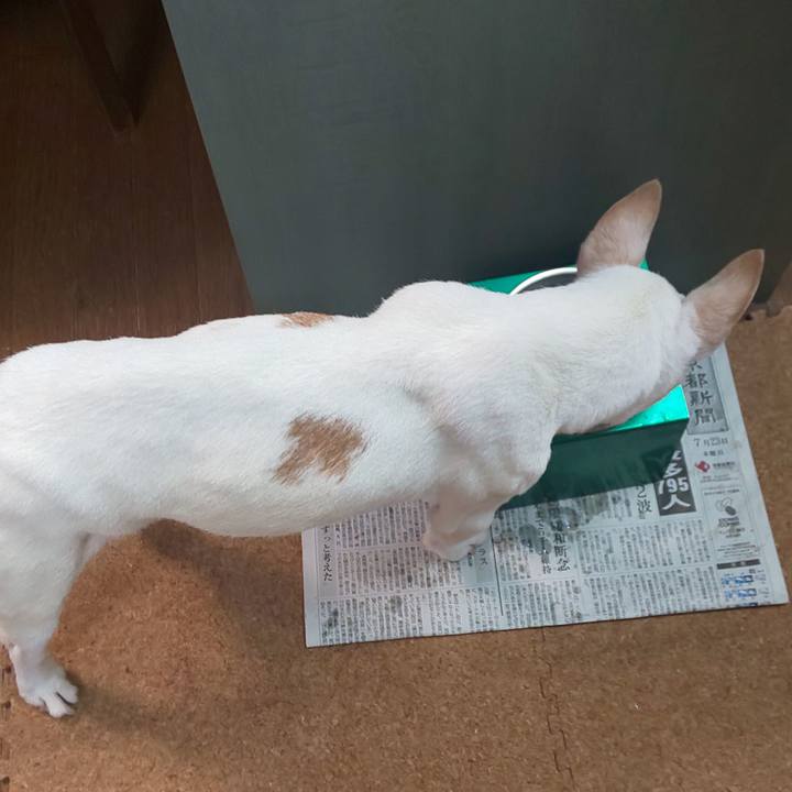 2eda09cc 6171 4650 ace1 57bb7e1df317 1595548737419