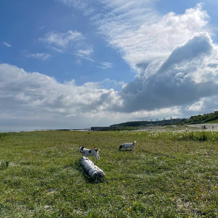 2eda127c 85f9 477b 8d59 531922cad4e4 1687648661464