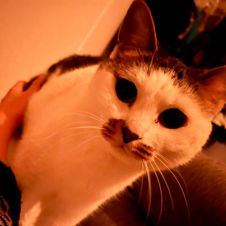 2eda2445 27b8 4aaa 8975 d410dc4414f6 1640270910265