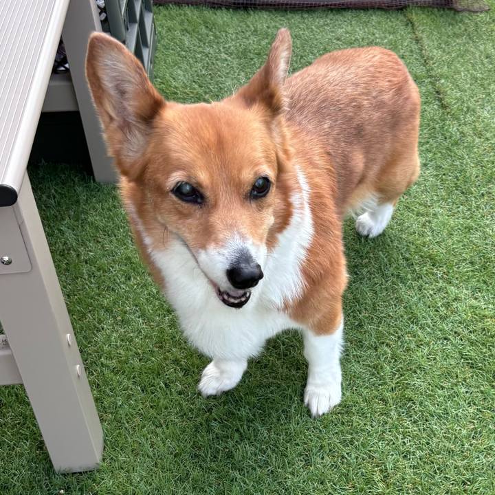 2eda3bf3 0d9d 4812 a1c4 e8c55c053d3d 1751582554089