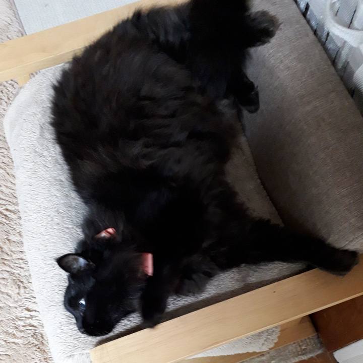 2eda5f51 de34 48f3 abca f7f7b2277728 1520443593400