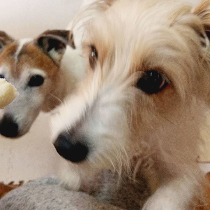 2eda6dac 2426 42d1 9801 1c435d270902 1585962901014