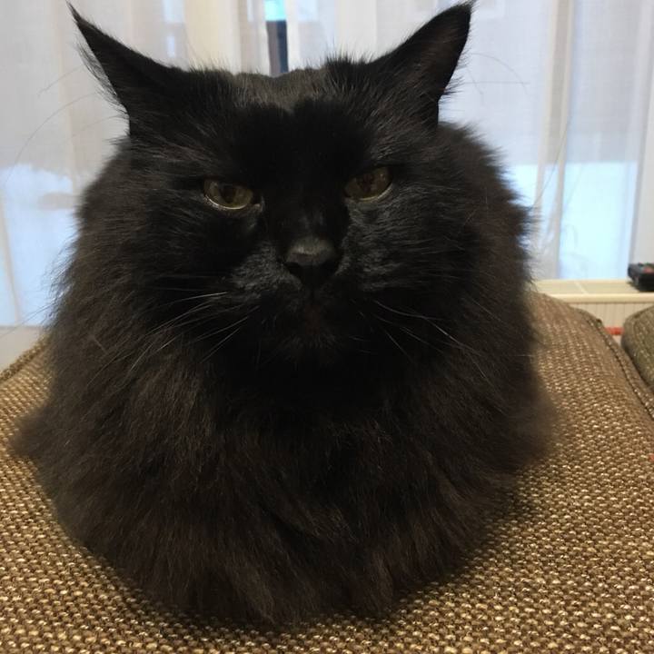 2edac9cd 37ad 4a88 9efc 4b9cc09c9d76 1545895948678