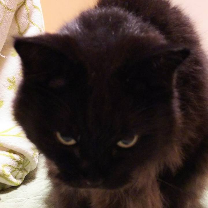 2edae264 cac4 4e56 833e d5afc106a088 1511265823014