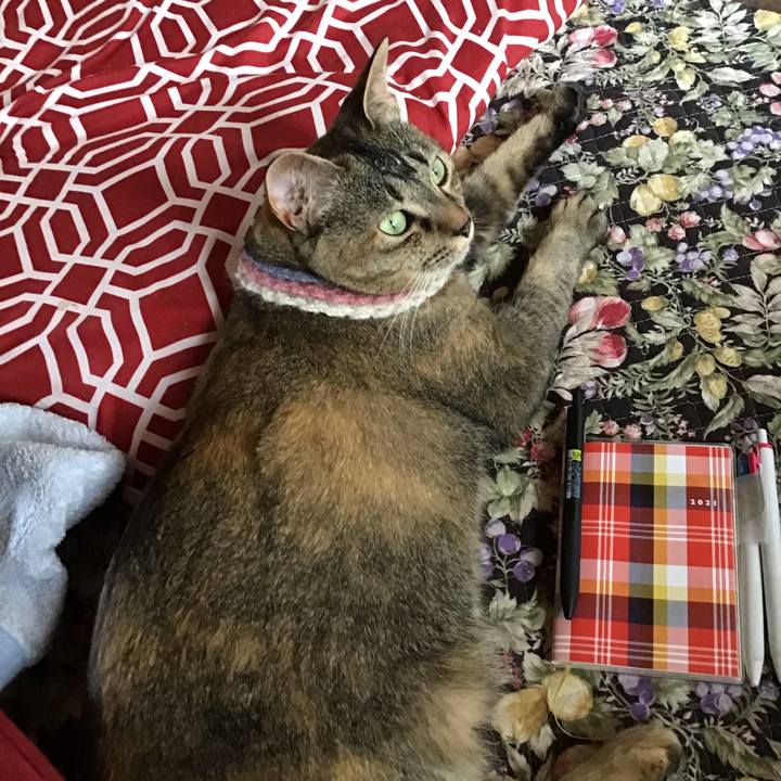 2edae60a ec9e 4947 b721 ec00d3773901 1624516984483