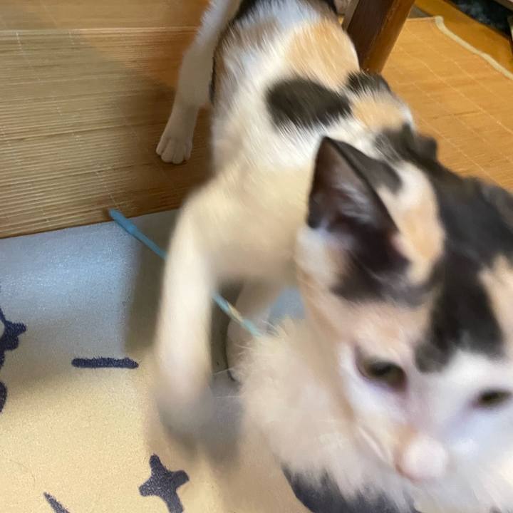 2edafd6e dc59 469e 8933 6bb919eaea4a 1661505778036