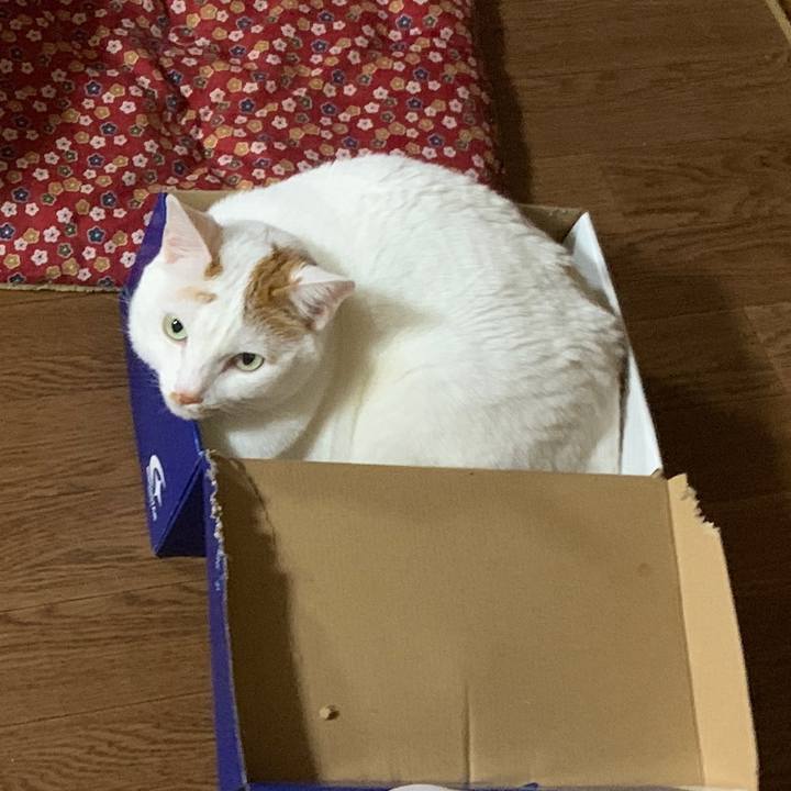 2edb1629 ee60 43ce 8181 6198dbb17dc4 1648126160384