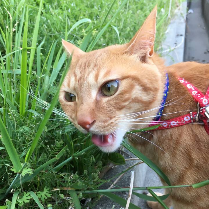 2edb2118 62e9 44e9 8470 1faa87e67457 1524303172859