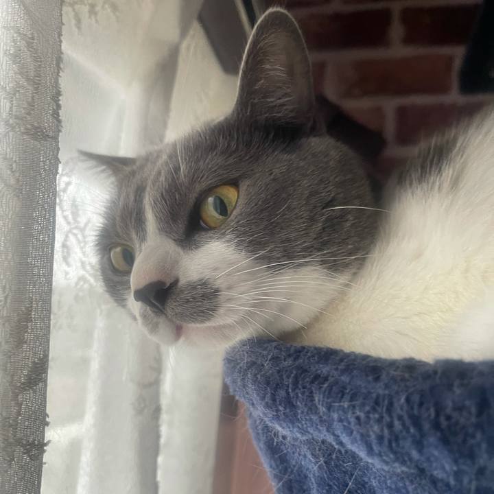 2edb2a70 4f3b 4b8f 92c4 3d1ab3fe3f02 1635122698117