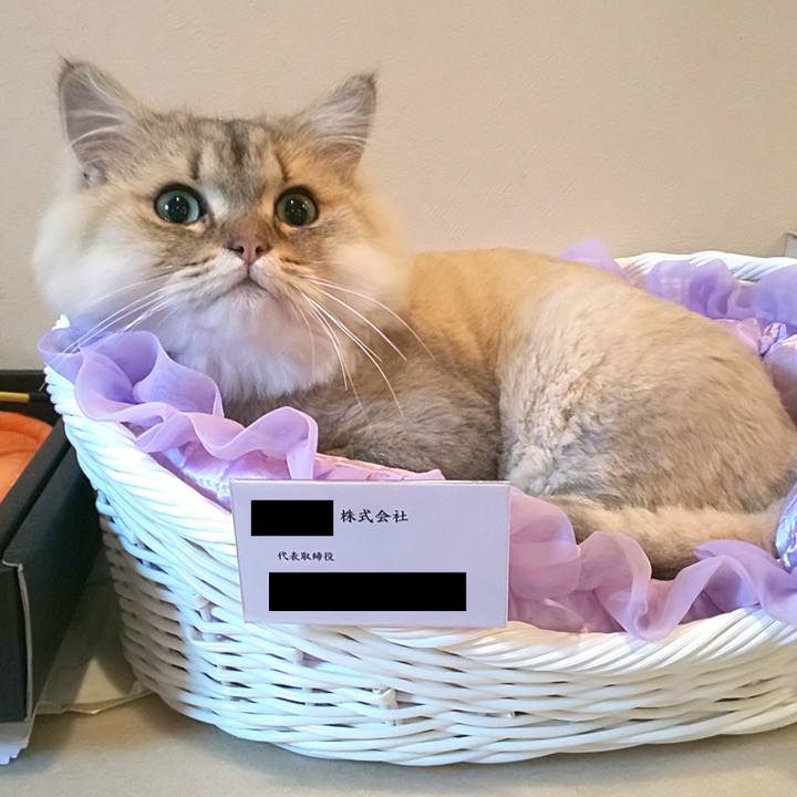 2edb2b16 93c2 48cd b37a 4ea421ec5288 1599445670411