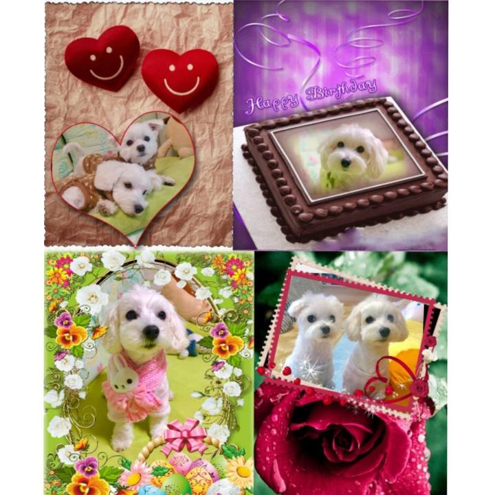 2edb3c59 e0ff 4a90 a943 bdf7ea3e4e44 1558095987110