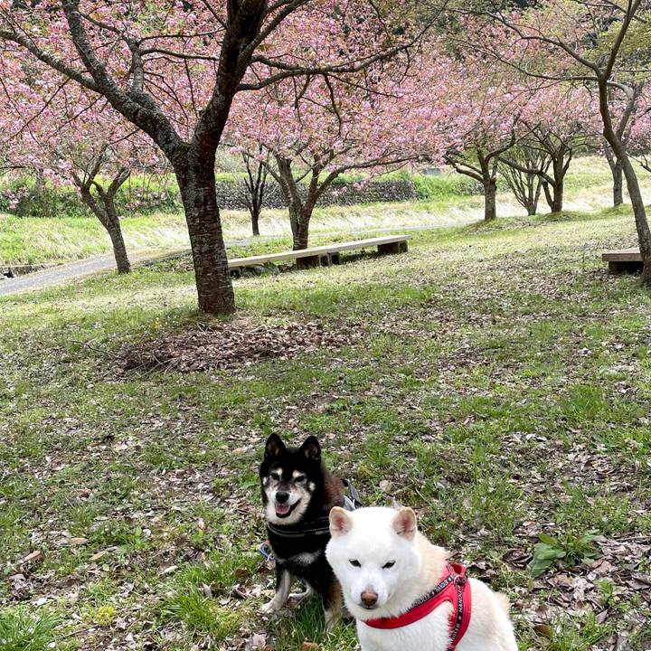 2edb4685 31dd 4d23 b1b2 284044214030 1776141213420