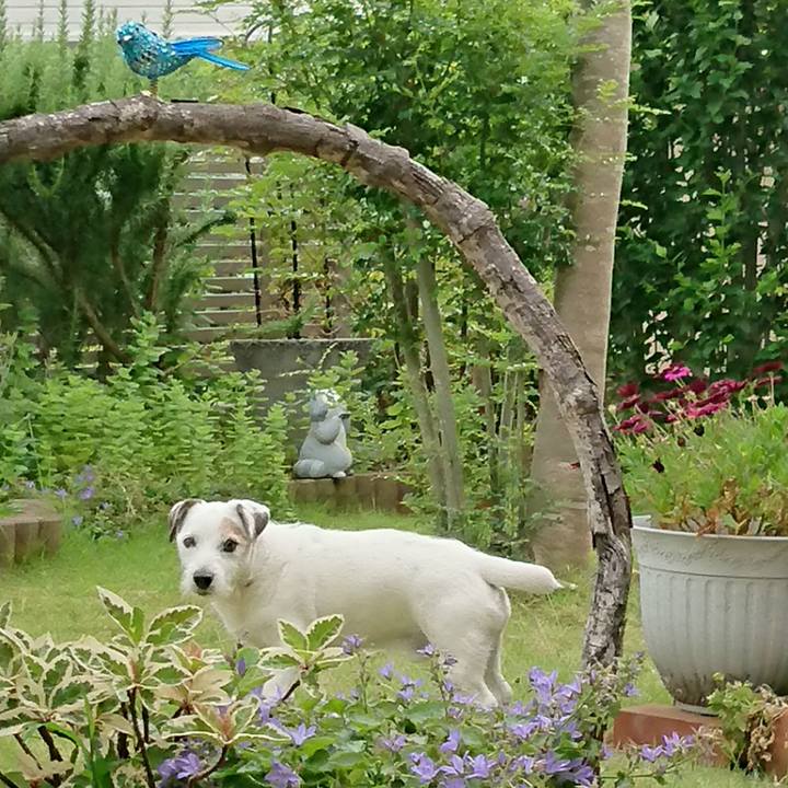 2edb65f3 9385 4090 a602 f7105cab8fee 1533164597072