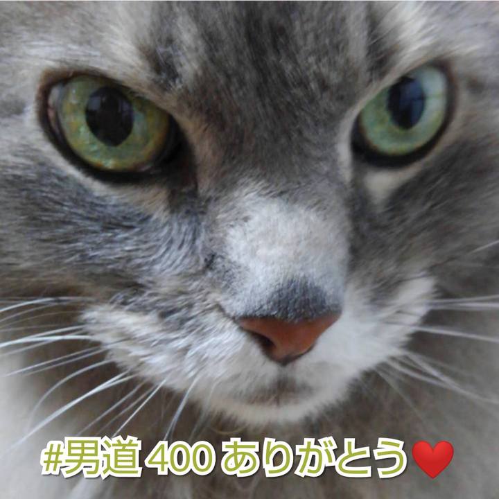 2edb679e 32b4 4056 b7fa 1616a0bbfe25 1556143046089