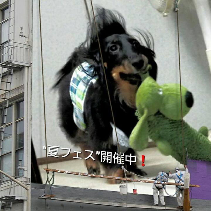 2edb6b55 3541 4de1 b2bf 30cda6681c5a 1534048620969