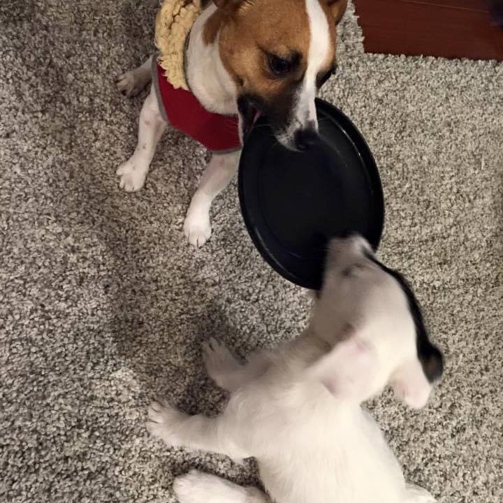 2edb6d49 4f56 4117 88d7 124d9e1fc63a 1677424380921