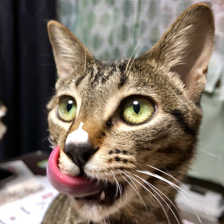 2edba791 65b8 4383 8114 cc2b891c2204 1520384752835