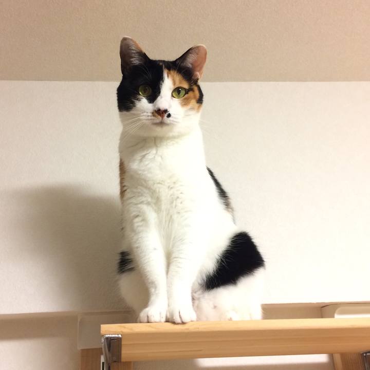 2edc0167 c878 4576 b500 e0f26a886eb9 1568604371983