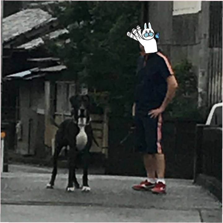 2edc0362 8b26 4d91 ab7c 5bd3ca21b20e 1508038862181