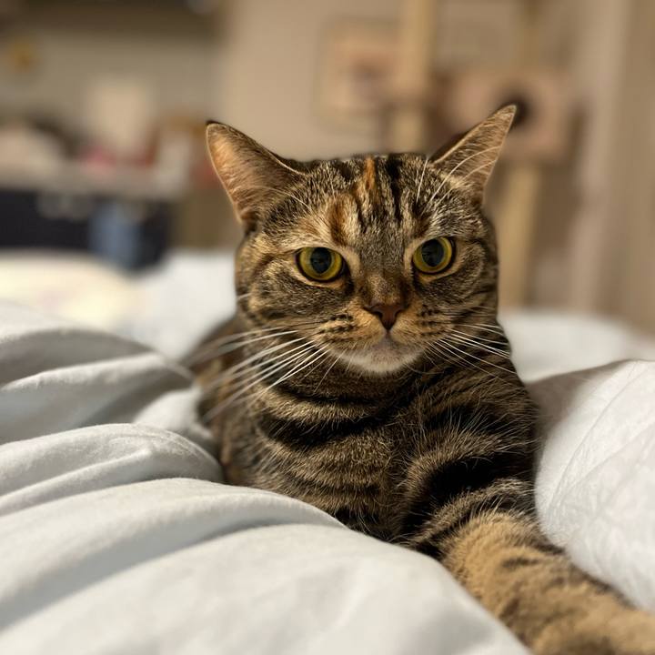 2edc07ae 52ee 4b0a bb71 8a0946c475c1 1644312081603