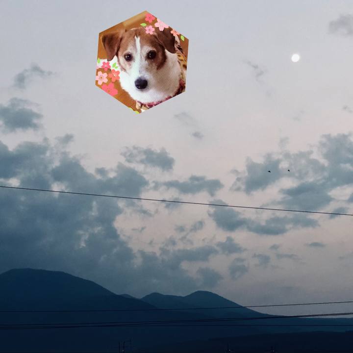 2edc27e2 b7f1 4d42 b453 47b837509d07 1566084013279