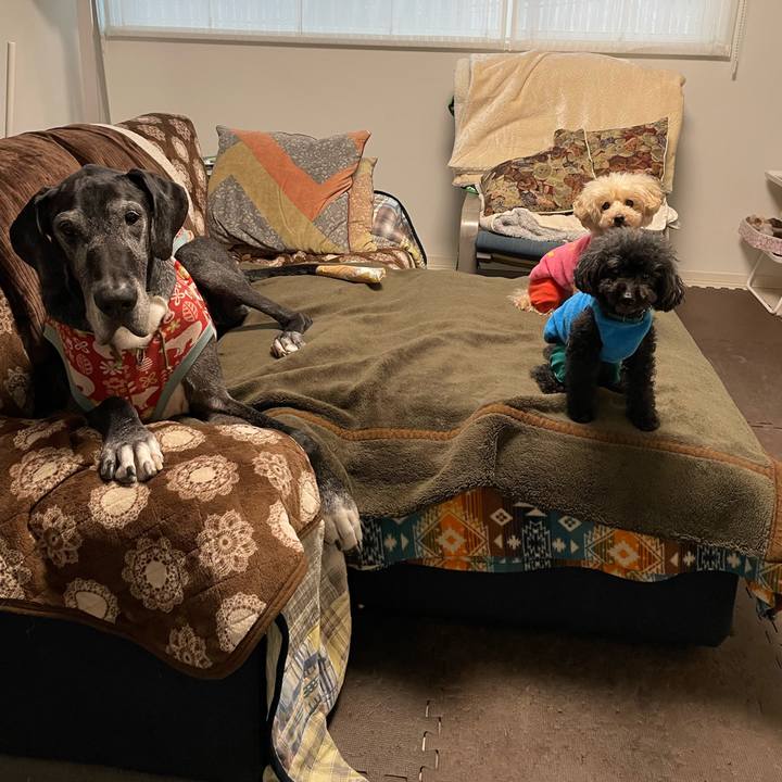 2edc3a13 fc95 4874 a16d 070a1d5ce732 1643928736286