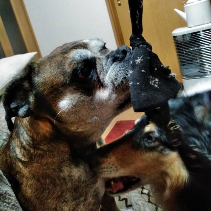 2edc4766 6c1c 433d bfaa 04fcf3775617 1521728494370