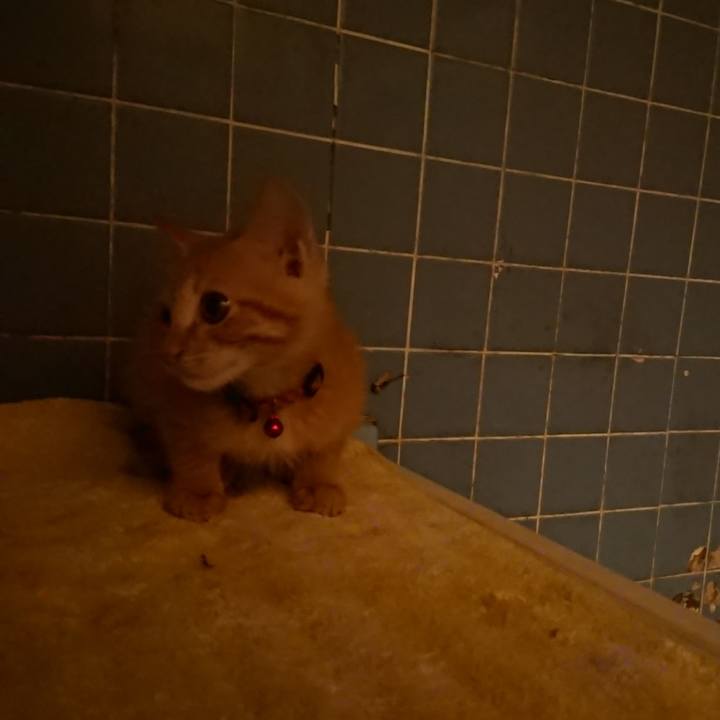 2edc7a86 6bc8 4983 b4c9 582b13ce96e1 1630491964759