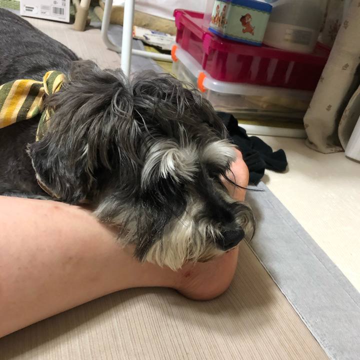 2edc87f0 9898 4f1f 8631 a731909b0e34 1628257126010