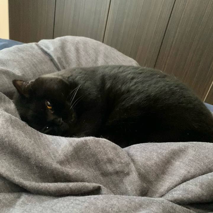 2edcb9ef 906a 4d0b ae40 6264de4e9df5 1704151418815