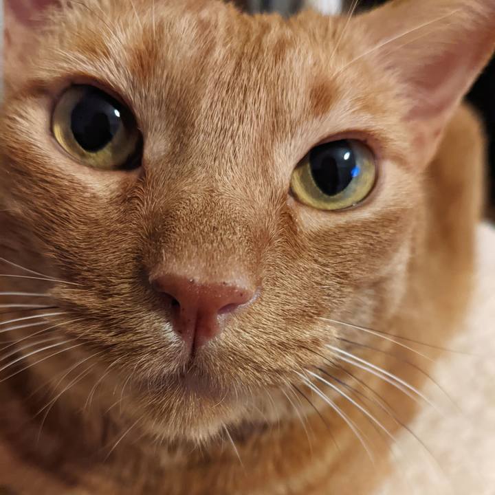 2edd7f10 6317 4f99 b4ab 06e15455be00 1656587453110