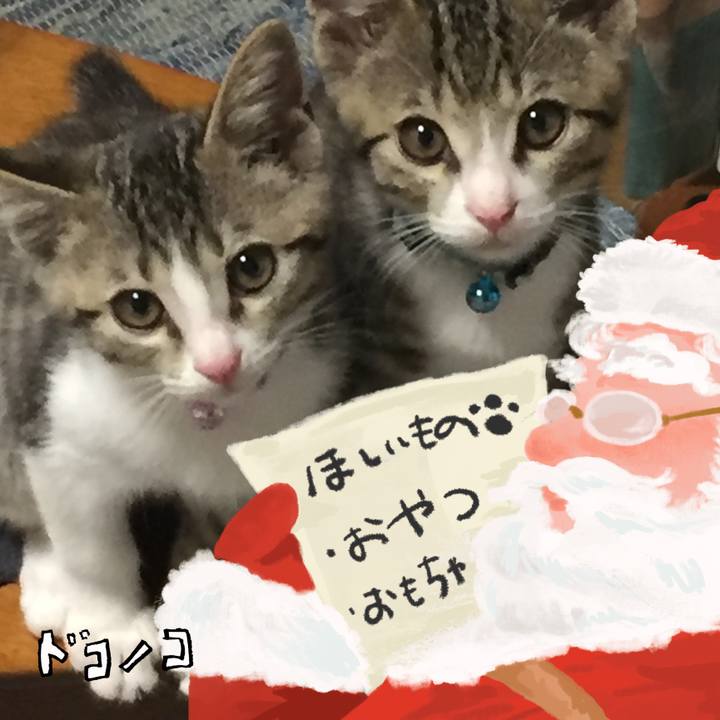 2edd8128 98c0 4e66 b313 07c5a37e4fc3 1729046402440