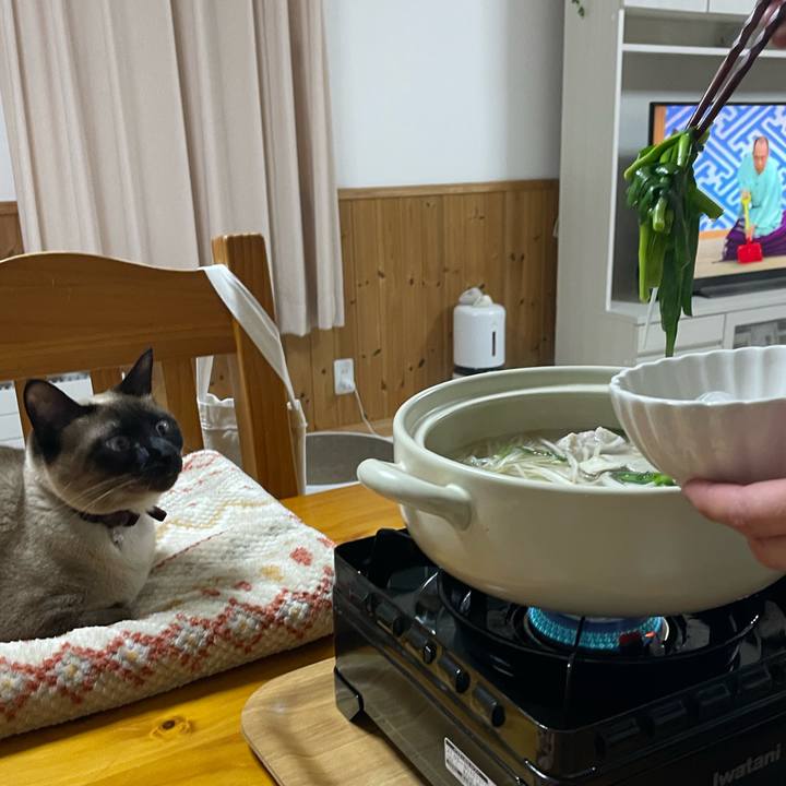 2eddb106 21ec 45cc b599 2415592be34f 1737881862507