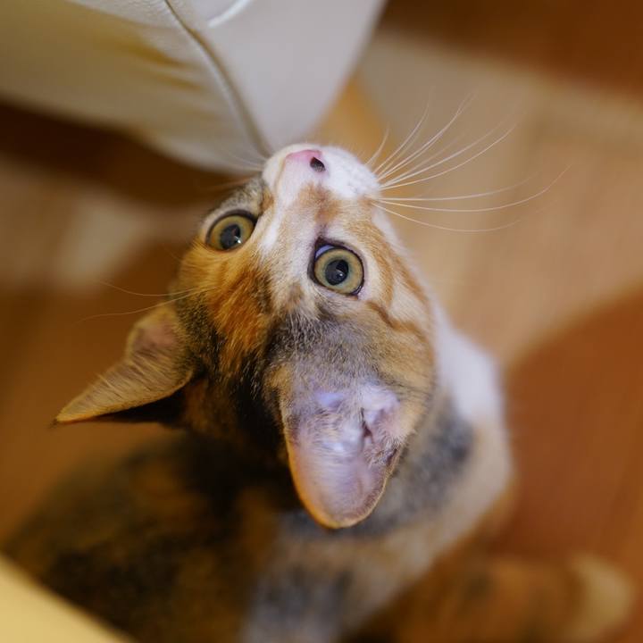 2eddb79b 7bc3 472c 9828 ec90f9250f97 1570005541709