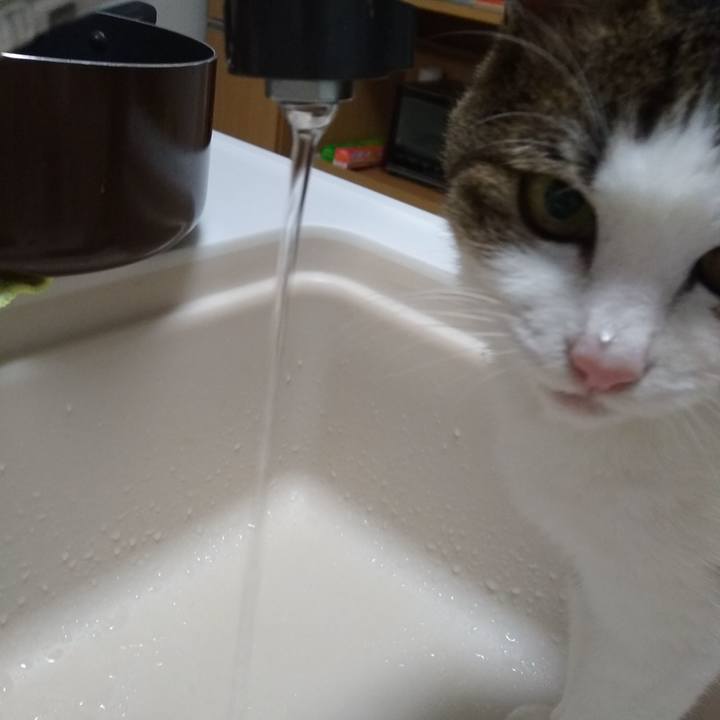 2ede56ac eddc 41e5 84af 38dc791de128 1557574347729