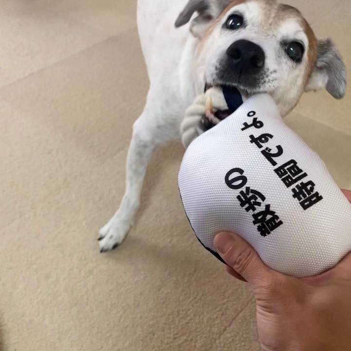 2ede7612 6fbc 4593 a535 bf4cdf3ba4ec 1599979503355