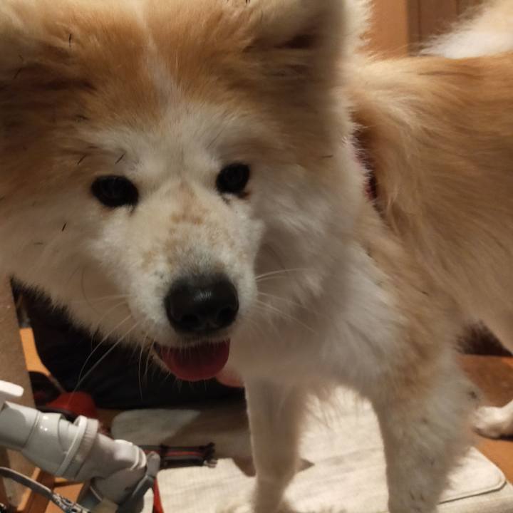 2ede904f c850 4c50 8fac 333ceb1d41db 1641820416708