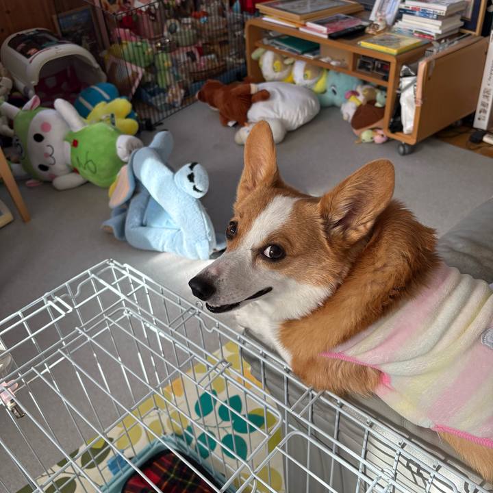 2edead03 d954 4c5b ba92 53bbae57f720 1767497142236