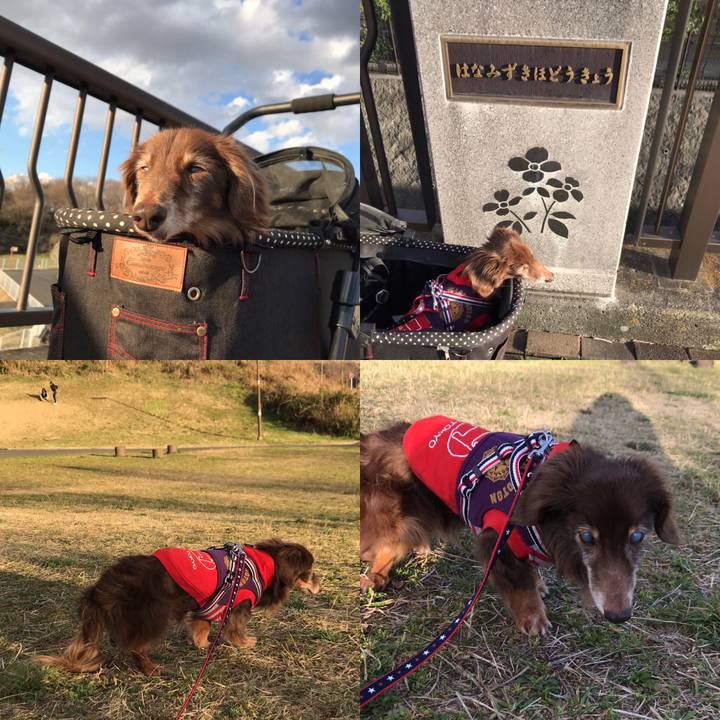 2edef30e 905b 4ae7 965b 06c910f78f5a 1583918056198