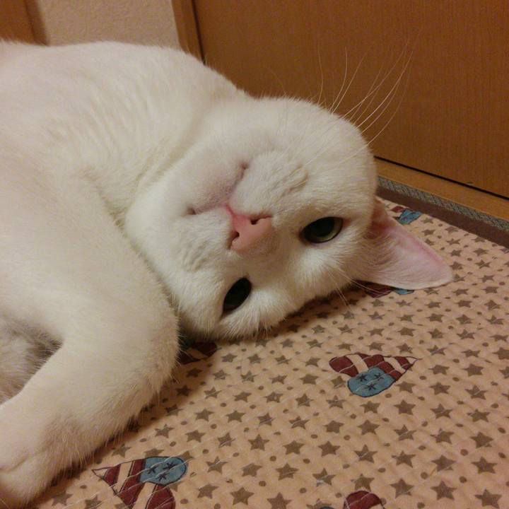 2edf160e e433 4695 8fe2 c1eeacac6875 1528556268132